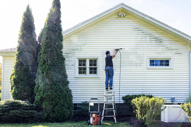 Best House Pressure Washing  in Nacogdoches, TX